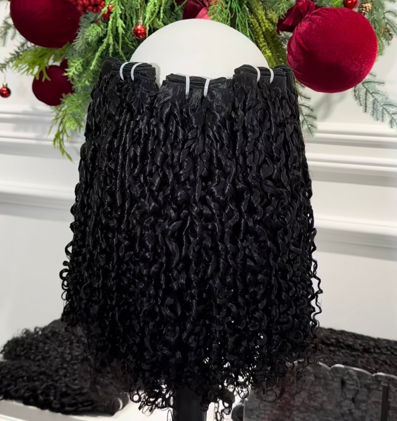 BURMESE CURLY