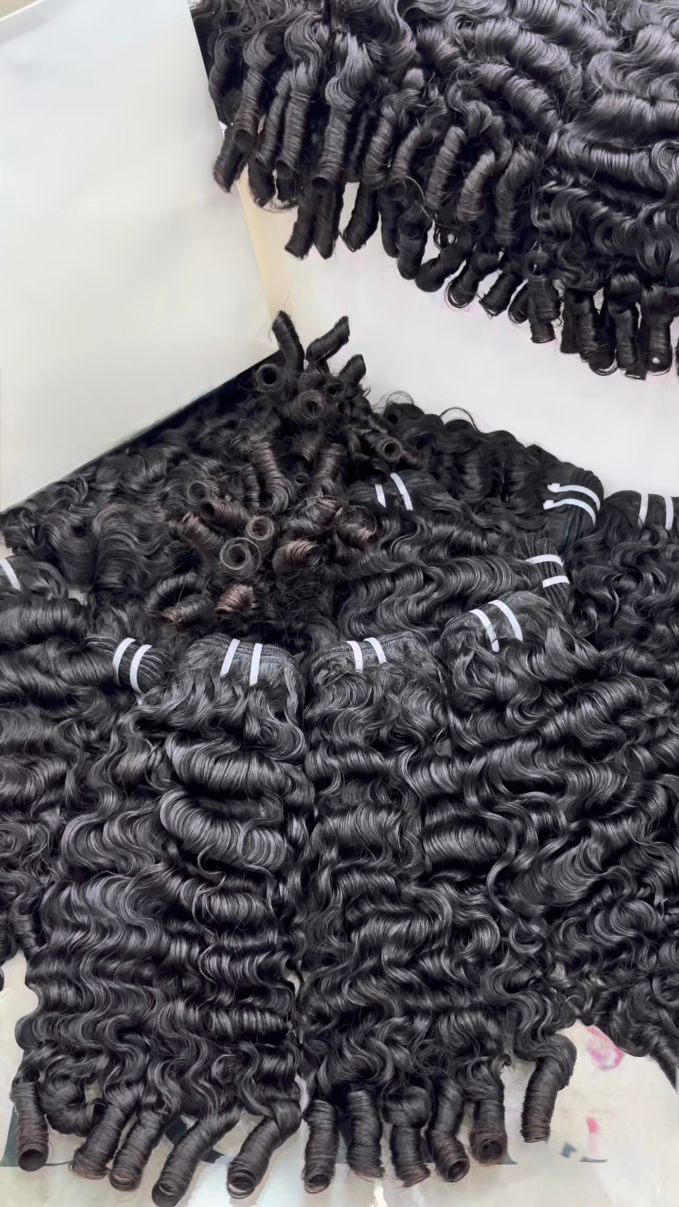 BURMESE CURLY
